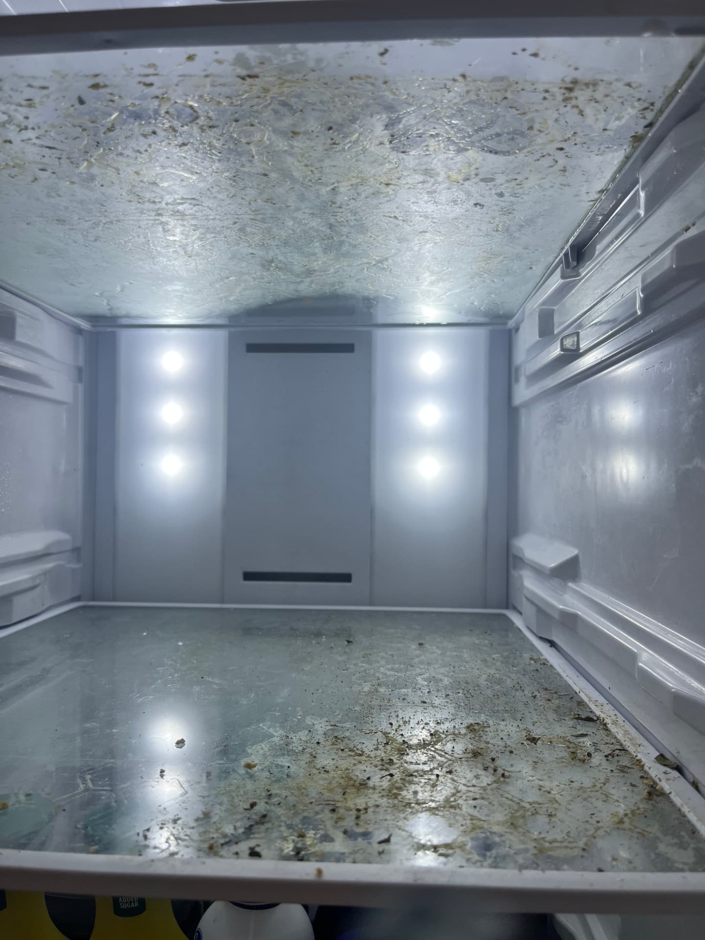Refrigerator before Golden Clean service